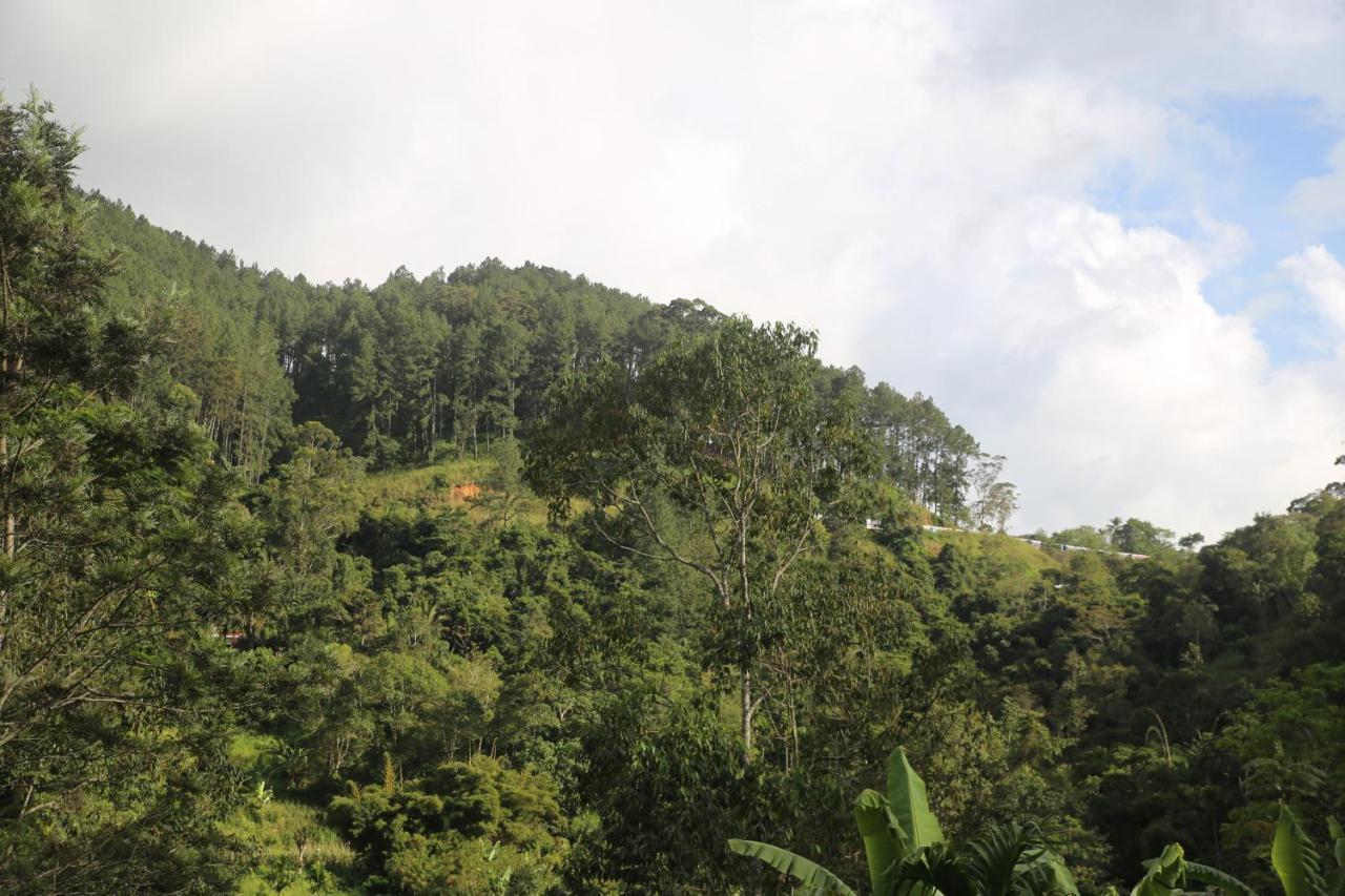 Misty Mount Resort Ella Bagian luar foto