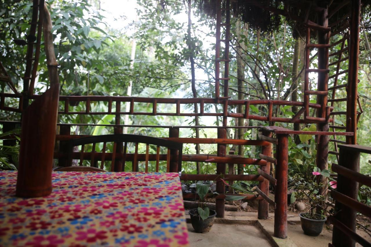 Misty Mount Resort Ella Bagian luar foto